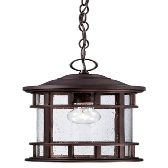 Vista II One Light Hanging Lantern in Architectural Bronze (106|31946ABZ)