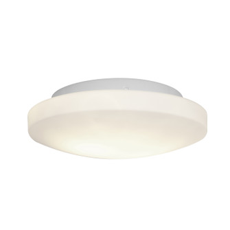 Orion Two Light Flush Mount in White (18|50160-WH/OPL)
