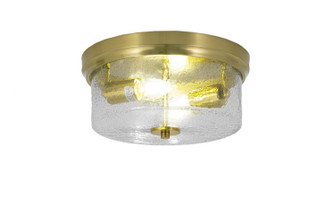 Flush Mounts Two Light Flush Mount in New Age Brass (200|832-NAB-2)