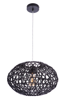 Pendant One Light Pendant in Flat Black (46|P2003-FB)