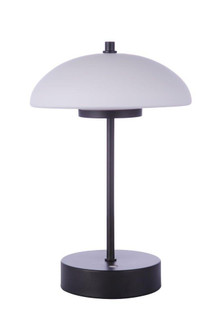 Rechargable LED Portable LED Table Lamp in Flat Black (46|86271R-LED)