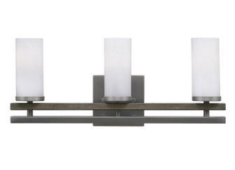 Belmont Three Light Bathroom Lighting in Graphite & Painted Distressed Wood-look (200|2713-GPDW-811)