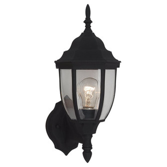 Bakersville One Light Outdoor Wall Lantern in Black (1|88940-12)