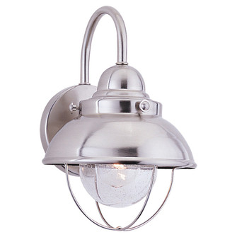 Sebring One Light Outdoor Wall Lantern in Brushed Stainless (1|8870-98)
