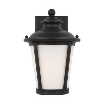 Cape May One Light Outdoor Wall Lantern in Black (1|88240-12)