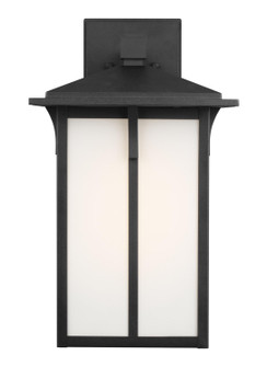 Tomek One Light Outdoor Wall Lantern in Black (1|8752701EN3-12)