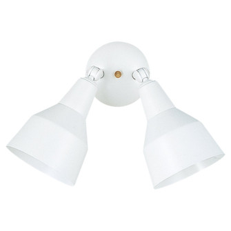 Flood Light Two Light Flood Light in White (1|8607-15)