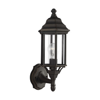 Sevier One Light Outdoor Wall Lantern in Antique Bronze (1|8538701-71)