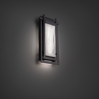 Haze LED Outdoor Wall Sconce in Black (281|WS-W64316-BK)