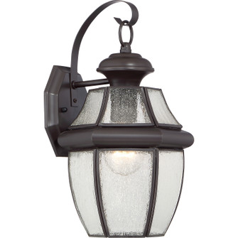 Newbury One Light Outdoor Lantern in Medici Bronze (10|NY8409Z)