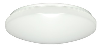 LED Flush Mount in White (72|62/547)