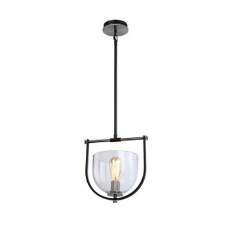 Cheshire One Light Pendant in Black & Nickel (78|AC11741NB)