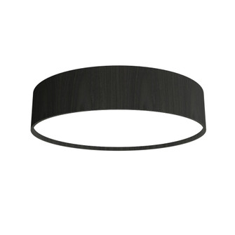 Cylindrical LED Ceiling Mount in Charcoal (486|5013LED.44)