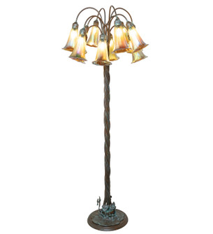 Amber 12 Light Floor Lamp in Weathered Bronze (57|264644)