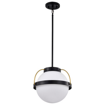 Lakeshore One Light Pendant in Matte Black (72|60-7775)