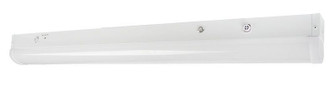 Narrow Strip in White (418|LSN-4FT-40W-MCTP-D-EM-SEN)