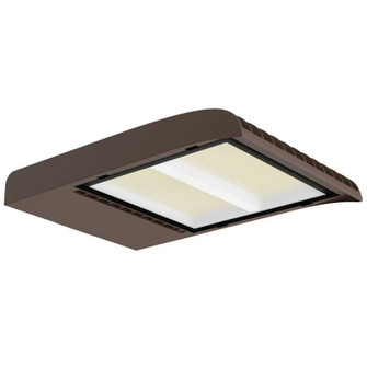 Flood Light in Bronze (418|LFXE-XL-200-300W-50K-P)