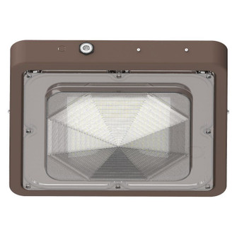 Canopy Light in Bronze (418|CXES-40-80W-MCTP-EM)