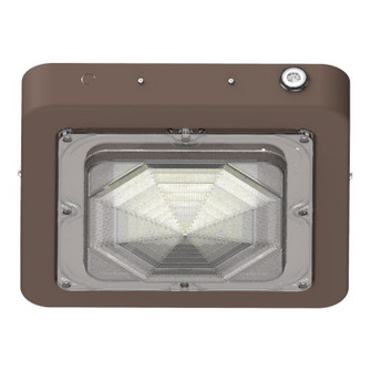 Canopy Light in Bronze (418|CXES-30-60W-MCTP-EM)