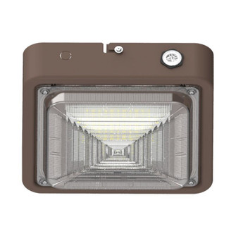Canopy Light in Bronze (418|CXES-10-30W-MCTP)
