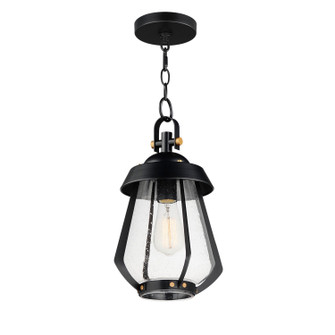 Mariner One Light Outdoor Pendant in Black / Antique Brass (16|30621CDBKAB)