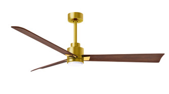 Alessandra - LK 56''Ceiling Fan in Brushed Brass (101|AKLK-BRBR-WN-56)