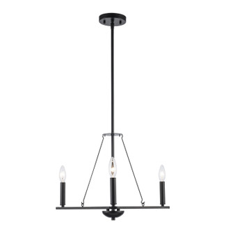 Linden Three Light Pendant in Black (110|11643 BK)