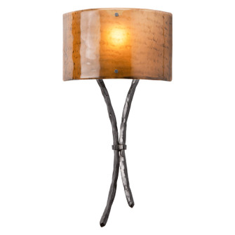 Ironwood One Light Wall Sconce in Heritage Brass (404|CSB0032-0B-HB-FG-E2)