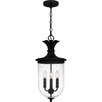 Havana Three Light Outdoor Hanging Lantern in Earth Black (10|HVN1910EK)