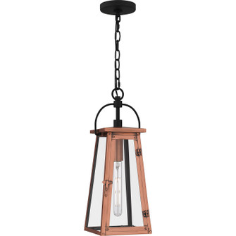 Carolina One Light Outdoor Hanging Lantern in Aged Copper (10|CLN1907AC)