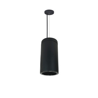 Cylinder Pendant in Black (167|NYLS2-6C35135MBBB6AC)