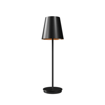 Conical One Light Table Lamp in Organic Black (486|7088.46)