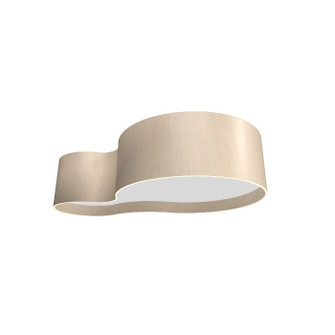 Organic LED Ceiling Mount in Organic Cappuccino (486|5064LED.48)