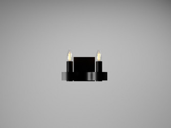 Flow Two Light Wall Lamp in Organic Black (486|4203.46)