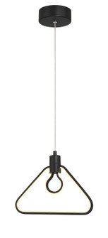 Edison'S Outline LED Pendant in Coal (42|P1905-66A-L)