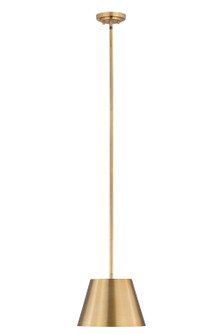 Lilly One Light Pendant in Rubbed Brass (224|2307-12RB)