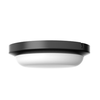 Dean LED Outdoor Flush Mount in Black (162|DEAW08LAJENBK)