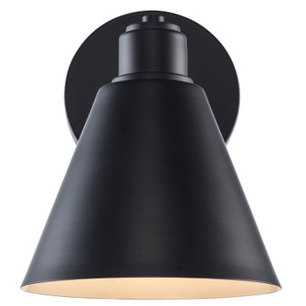 One Light Vanity in Black (110|22591 BK)