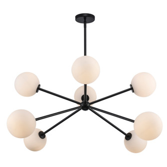 Eight Light Chandelier in Black (110|11618 BK)