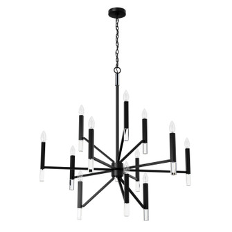 Sunjai 12 Light Chandelier in Matte Black (47|45230)