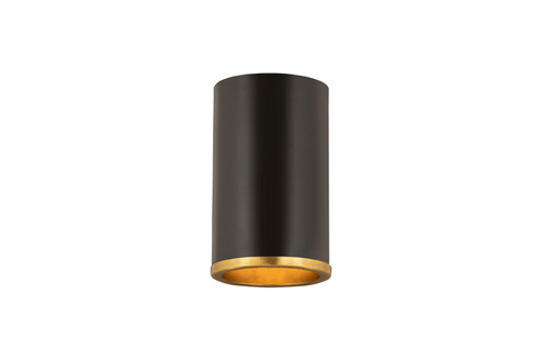 Arlo One Light Flush Mount in Matte Black / Rubbed Brass (224|2303F1-MB-RB)