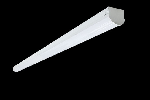 LED Strip Light in White (418|LSL-8FT-84W-40K-D-HL)