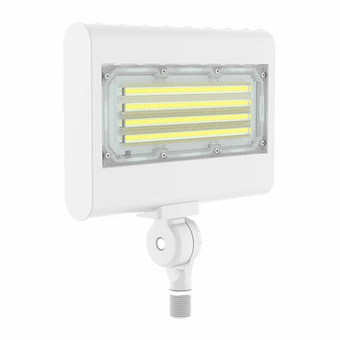 Flood/Area Ligh in White (418|LFX-SM-10-30W-MCTP-KN-WH)