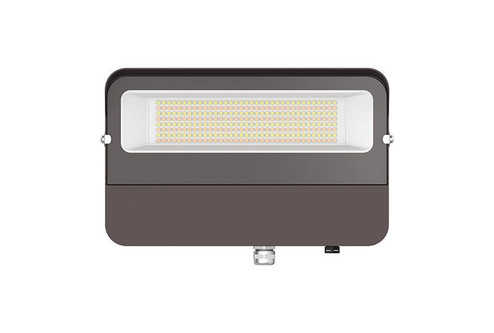 Flood Light in Dark Bronze (418|LFE-80W-MCT-D)