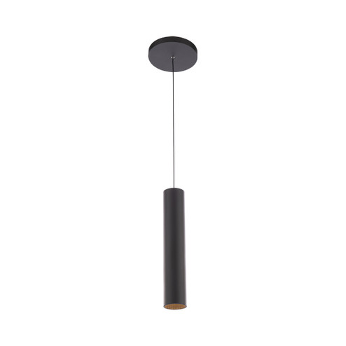 Silo Pendants LED Pendant in Black/Black (34|PD-2020-935-BK/BK)