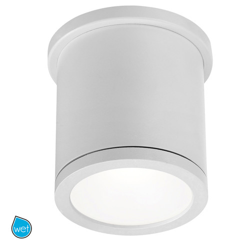 Tube LED Flush Mount in White (34|FM-W2605-WT)