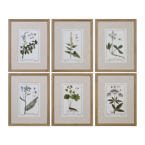 Green Floral Botanical Study Wall Art in Gold Leaf (52|33651)
