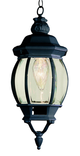 Parsons One Light Hanging Lantern in Black (110|4065 BK)