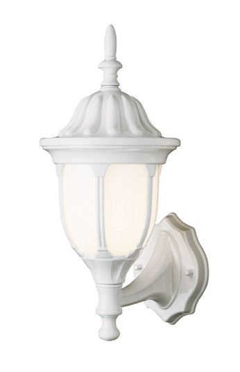 Hamilton One Light Wall Lantern in White (110|4041 WH)