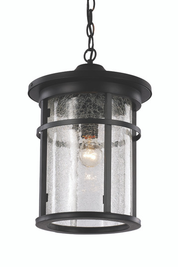 Avalon One Light Hanging Lantern in Black (110|40386 BK)